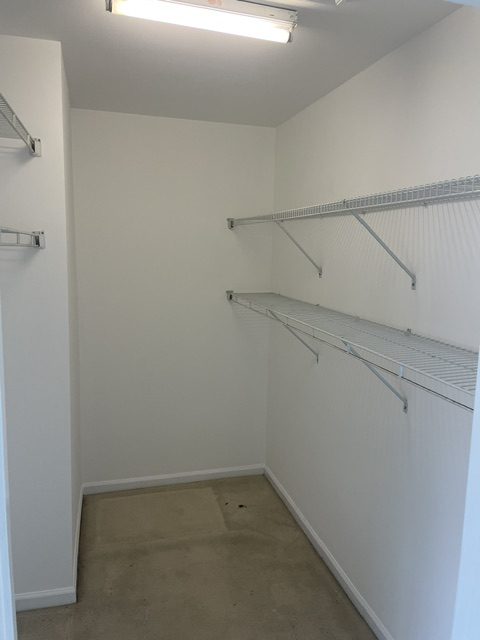painted walk in closet by 99 Dollar Painter in Middle Tennessee