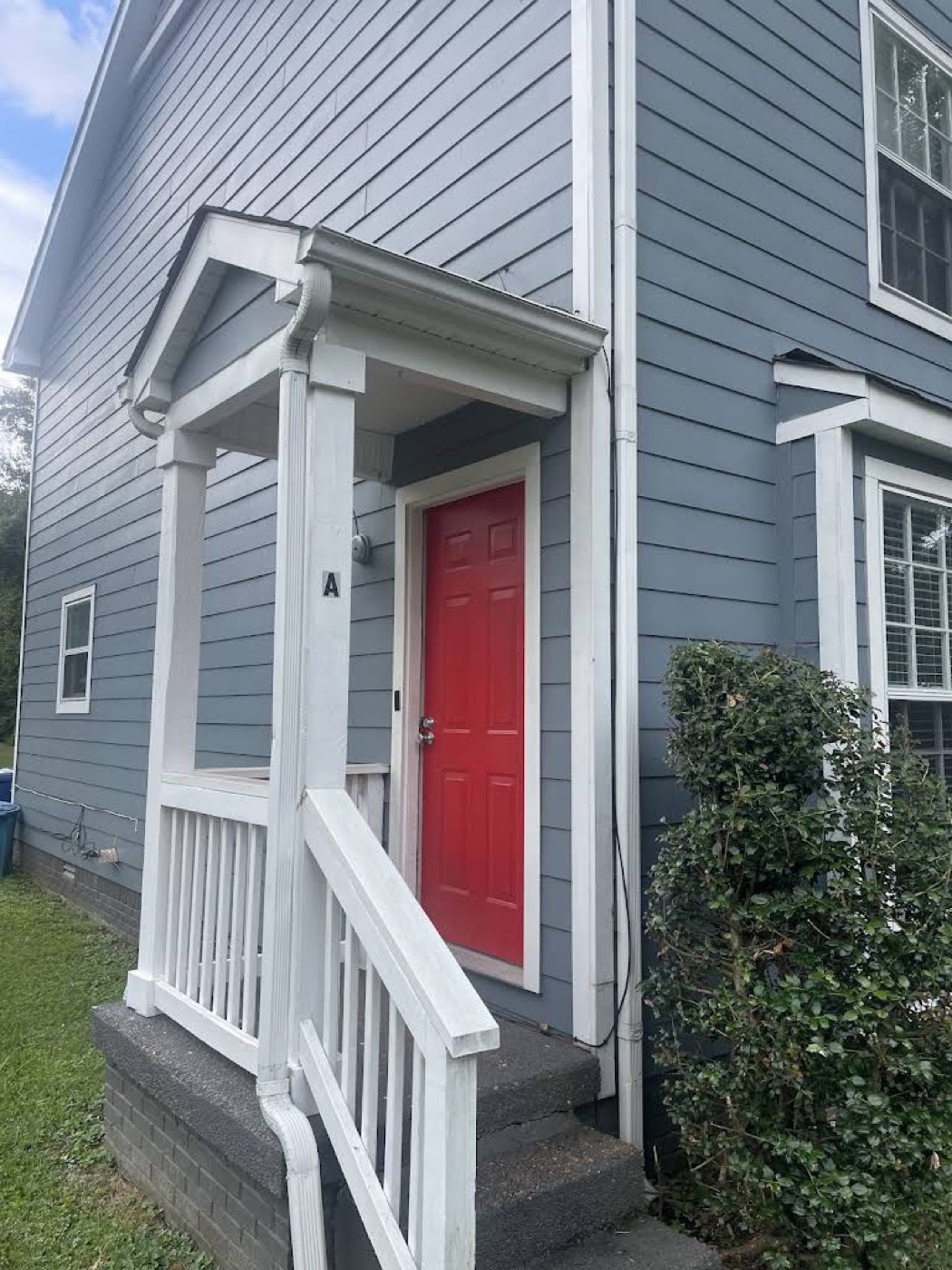 painting project 06 by 99 Dollar Painter in Middle Tennessee